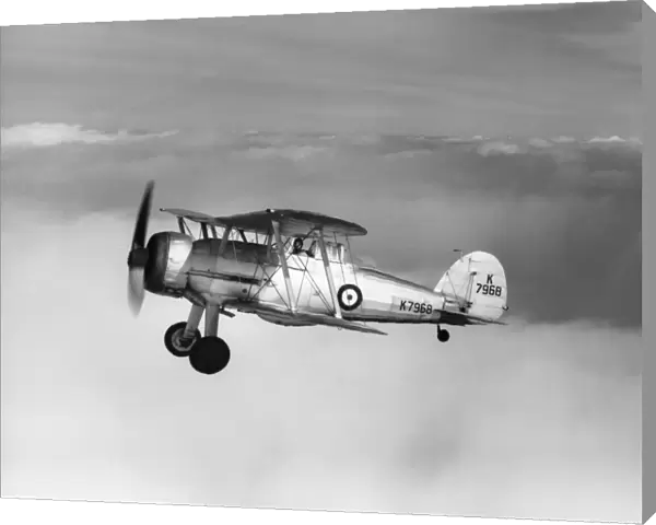 Gloster Gladiator of 87 Squadron