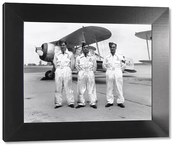 Lorimer, Feeny and Dewdney of 87 Squadron