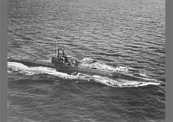 HMS Salmon