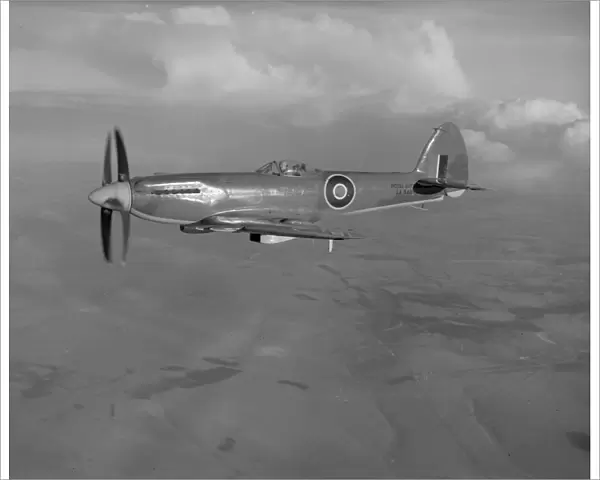 Supermarine Seafire F. 46
