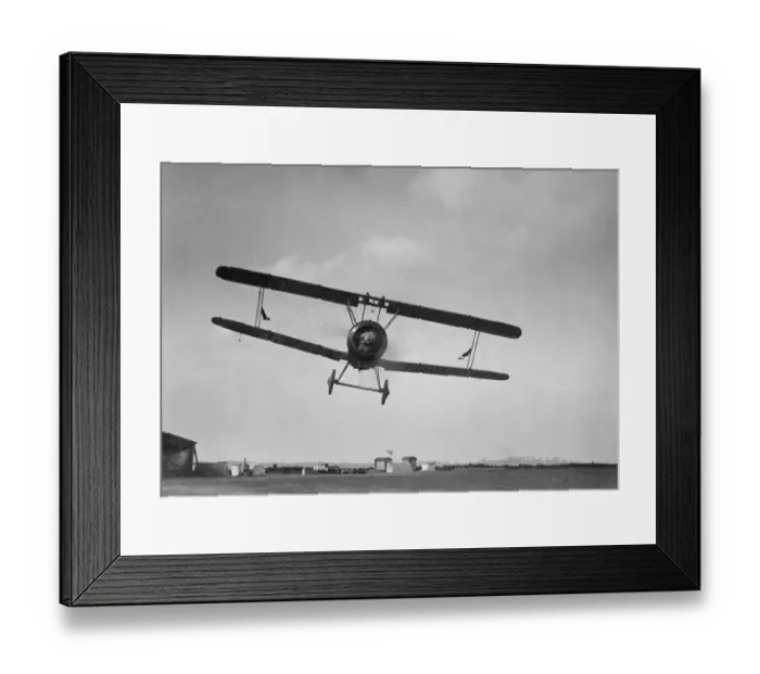 Framed Print : Sopwith Camel