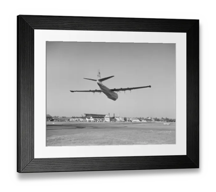 Framed Print : Saro Princess Framed Print : Saro Princess