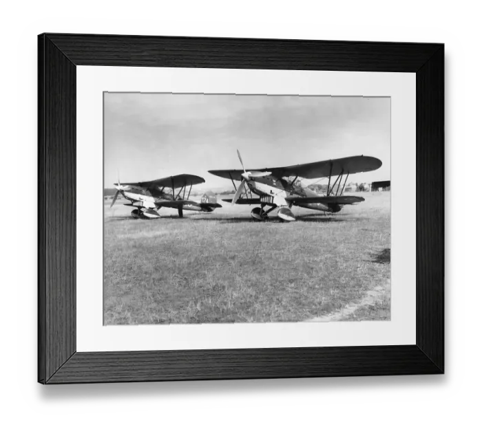 Framed Print : Fairey Fox
