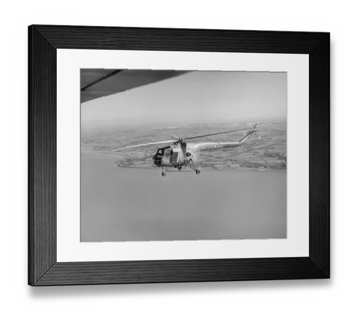 Framed Print : Bristol Sycamore