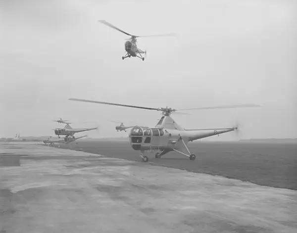Westland Dragonfly HR.3 helicopters of 705 Squadron, RNAS Lee-on-Solent 21 November 1952