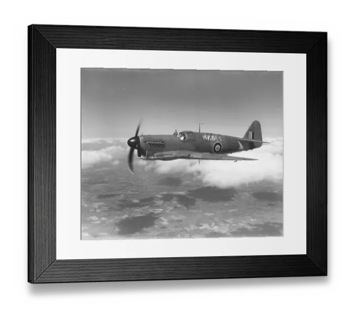 Framed Print : Fairey Firefly I Framed Print : Fairey Firefly I