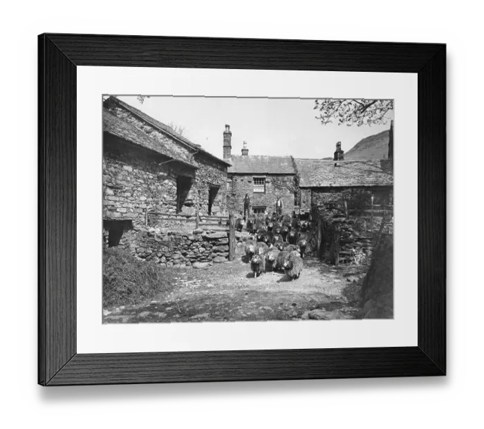 Framed Print : A sheep farm in the North of England Framed Print : A sheep farm in the North of England