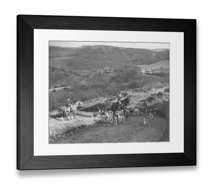 Framed Print : Hunting with hounds