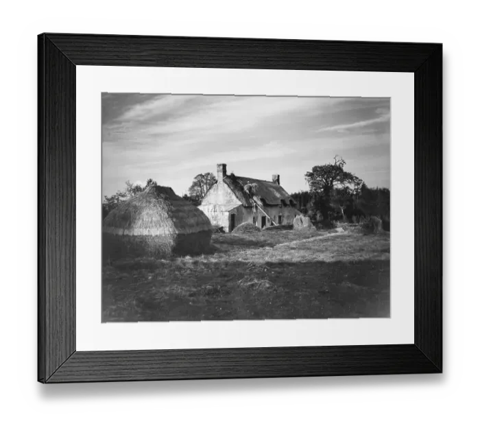 Framed Print : The thatcher at work on the roof of a Dorset Cottage