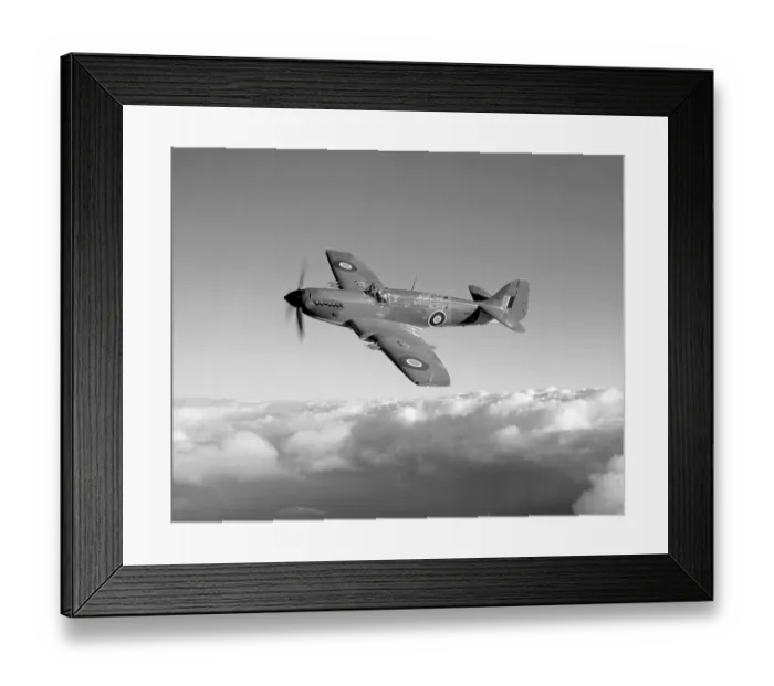 Framed Print : Fairey Firefly FR. 4