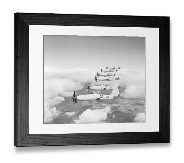 Framed Print : Westland Wyvern S. 4