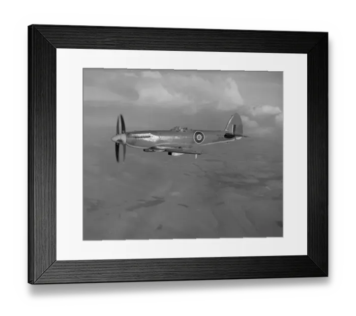 Framed Print : Supermarine Seafire F. 46 Framed Print : Supermarine Seafire F. 46