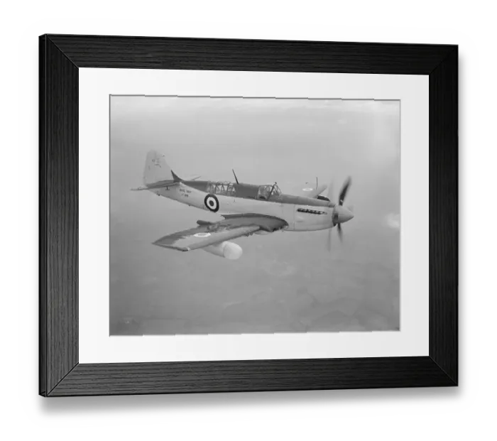 Framed Print : Fairey Firefly V