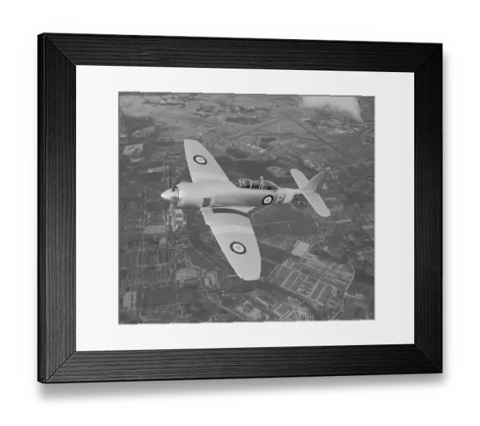 Framed Print : Hawker Sea Fury T. 20 Framed Print : Hawker Sea Fury T. 20
