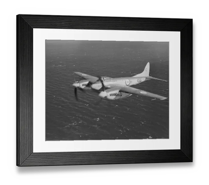 Framed Print : De Havilland Sea Hornet F. 20 Framed Print : De Havilland Sea Hornet F. 20