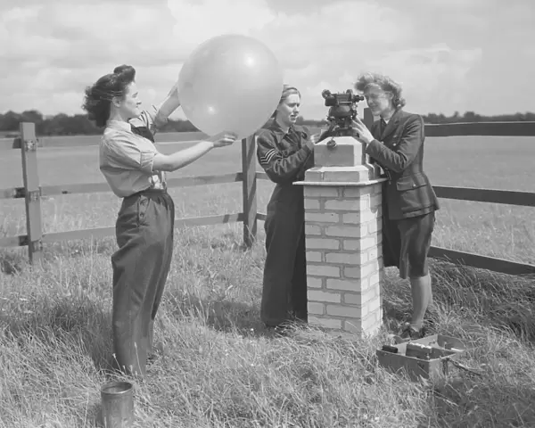 Meteorologists, August 1946