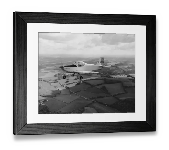 Framed Print : Mitchell-Proctor Kittiwake Framed Print : Mitchell-Proctor Kittiwake