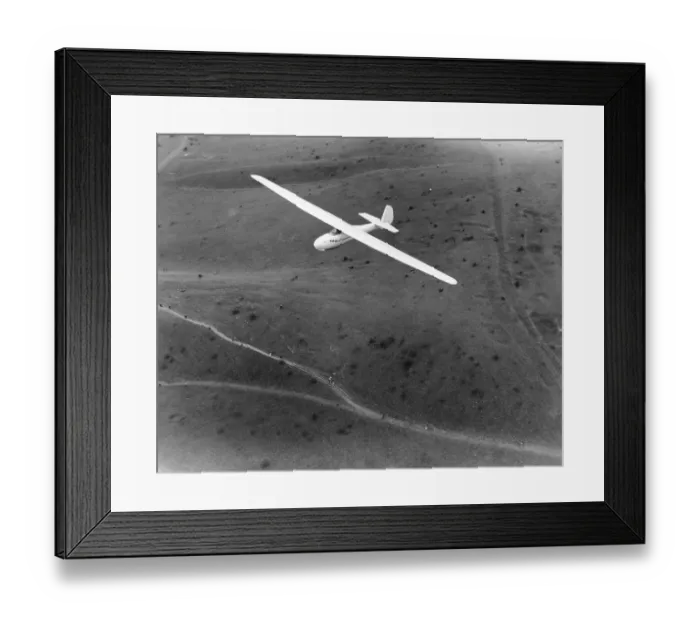 Framed Print : Schleicher Rhonbussard Framed Print : Schleicher Rhonbussard