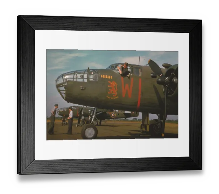 Framed Print : North American Mitchell