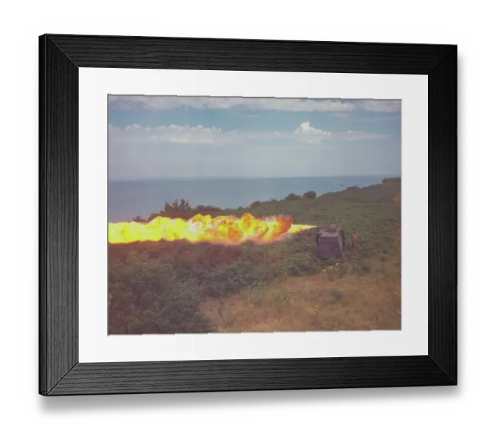 Framed Print : Cockatrice flame thrower Framed Print : Cockatrice flame thrower