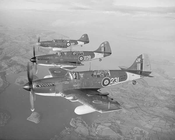 Fairey Firefly FR.4 aircraft (VH133, TW726 & TW730) of 816 Squadron RAN