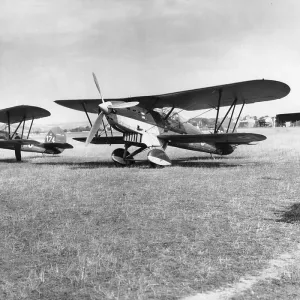 Fairey Fox