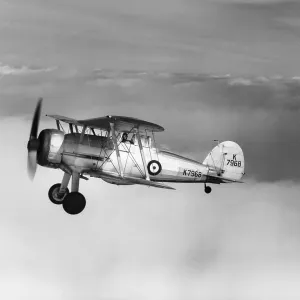 Gloster Gladiator of 87 Squadron