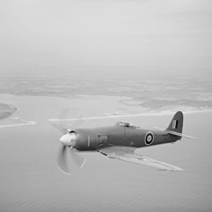 Hawker Sea Fury F. 10