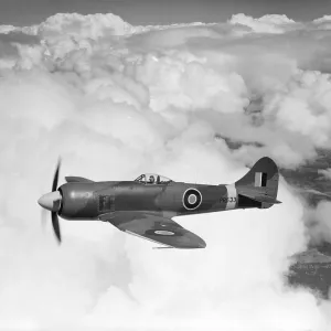 Hawker Tempest II