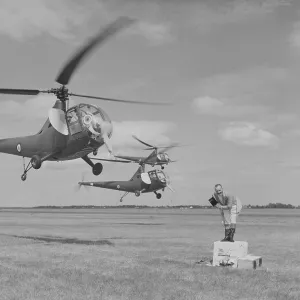 Sikorsky Hoverfly II helicopters dressed up as elephants