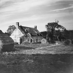 The thatcher at work on the roof of a Dorset Cottage