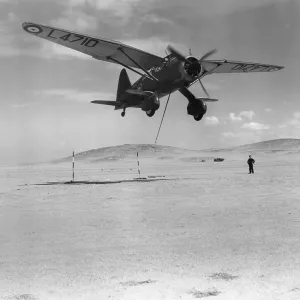 Westland Lysander