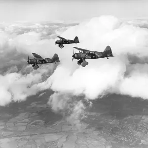 Westland Lysander