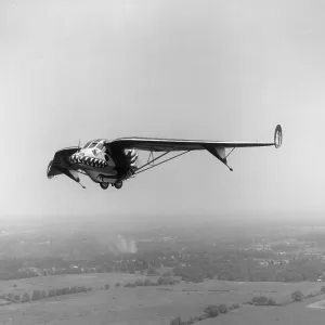 Westland Pterodactyl IV