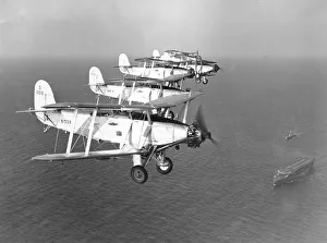 Images Dated 19th November 2010: Blackburn Baffins of 811 Sqn Fa