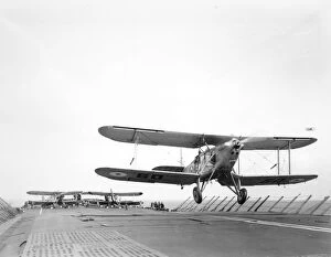 Interwar Gallery: Blackburn Ripon of 462 Flt FAA