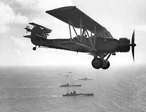 Fleet Air Arm Collection: Blackburn Shark I