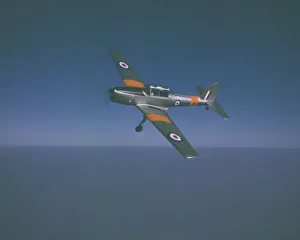 Postwar Prints: Chipmunk T. 10