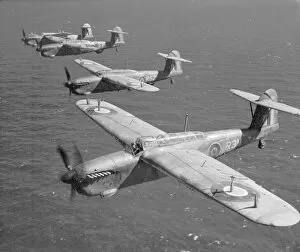 Fleet Air Arm Gallery: Fairey Barracuda II