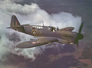 Images Dated 7th March 2008: Fairey Firefly
