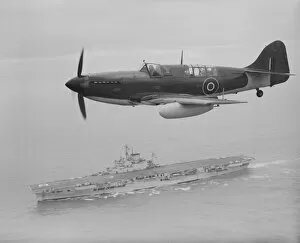 Aircraft Carriers Collection: Fairey Firefly IV