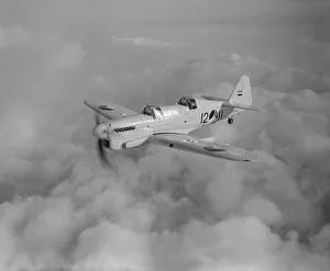 Foreign Forces Gallery: Fairey Firefly Trainer