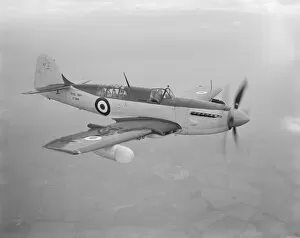 Royal Navy Collection: Fairey Firefly V