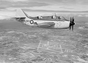 Fleet Air Arm Collection: Fairey Gannet AS. 4