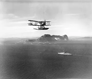 Fleet Air Arm Collection: Fairey Seal
