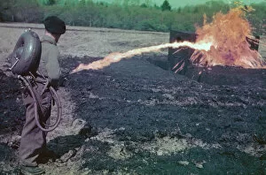 Charles Brown Colour Photographs Collection: Flamethrower