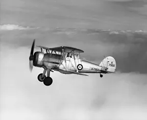 Images Dated 28th October 2008: Gloster Gladiator of 87 Squadron