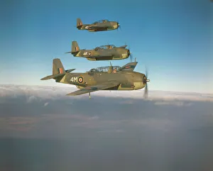 Royal Navy Gallery: Grumman Avenger