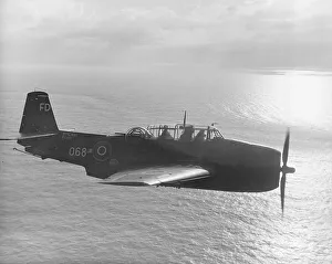 Images Dated 26th September 2008: Grumman Avenger III