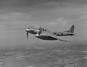 Royal Air Force Collection: De Havilland Hornet F. 3